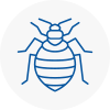 Bed Bug Extermination In Northfleet