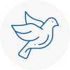 Bird Prevention Northfleet