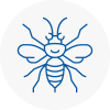 Northfleet Hornet Nest Removals