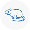 Rat Control Northfleet