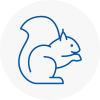 Northfleet Rodent Removals