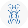 Northfleet Wasp Nest Removal